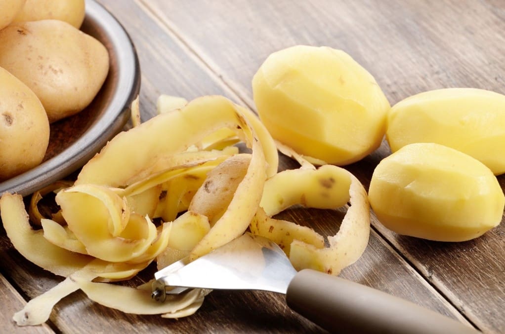 Garbage Disposal Maintenance