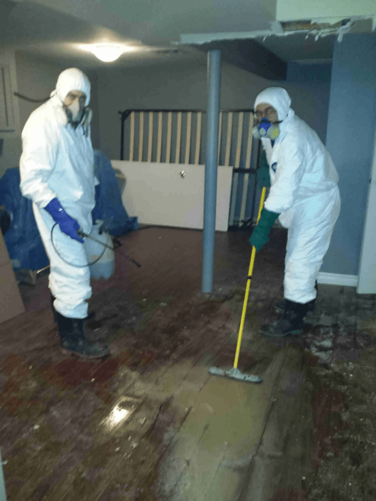 Clogged Drain in Bonney Lake WA