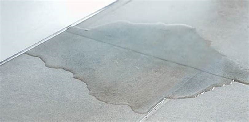 Slab Leak Detection in Federal Way WA