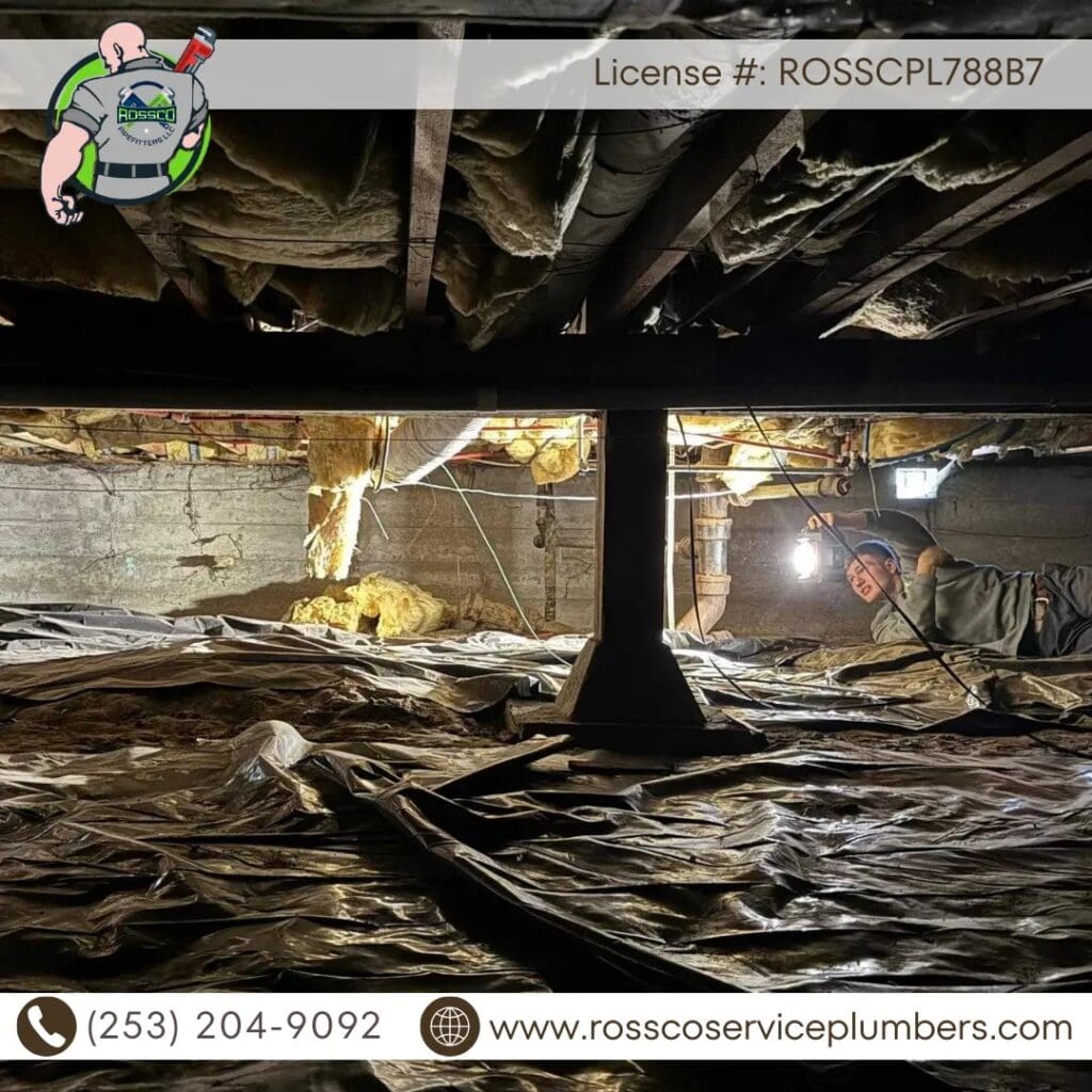 Dimly lit crawl space with plumbing